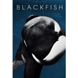 BlackFish