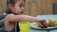 Vegan Family BBQ