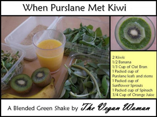 when-purslane-met-kiwi smoothie