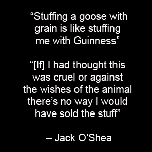 Jack Oshea