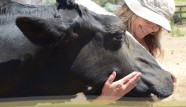 farm sactuary
