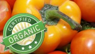 Organic Veg