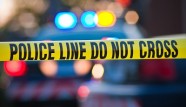 The Vegan Police