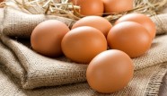Is it Ethical to Eat Eggs from Home Grown Chickens?