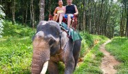 Riding Elephants on Your Holiday