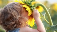 Your children will love to grow things that are interesting or that they like to eat themselves.