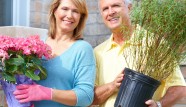 gardening back to basics