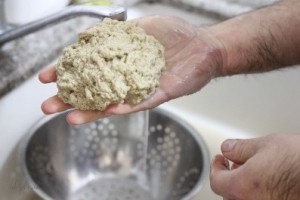 Knead the dough under a running tap. At first the water will be white but gradually they will become clear.