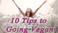 10 tips to going vegan
