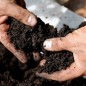 Vegan Compost