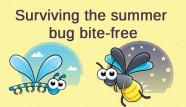 vegan bug repellants