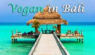 Vegan in Bali
