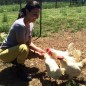 Paige with some of the inhabitants of the Piedmont Farm Animal Refuge. Image: courtesy of Paige Dixon.